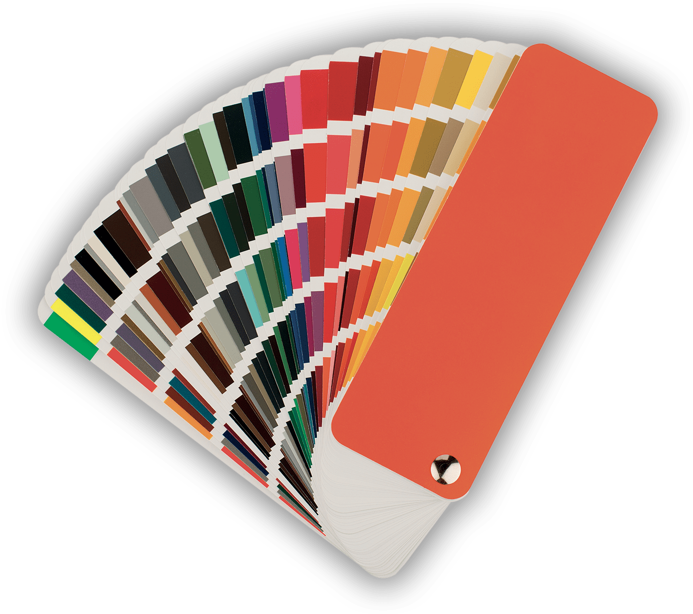 mazzetta pantone